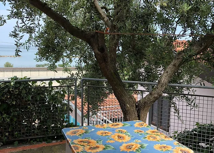 Dea Cupra Cupra Marittima